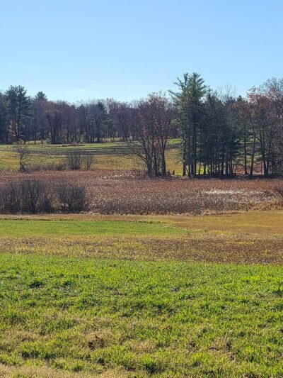 Raynes Farm Trails Parking - Exeter, NH