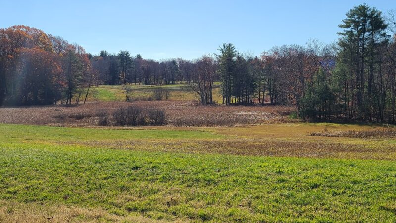 Raynes Farm Trails Parking - Exeter, NH