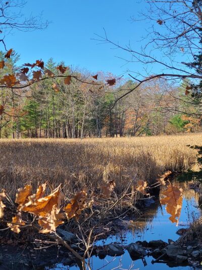 Raynes Farm Trails Parking - Exeter, NH