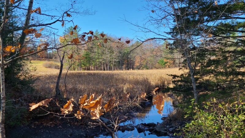 Raynes Farm Trails Parking - Exeter, NH