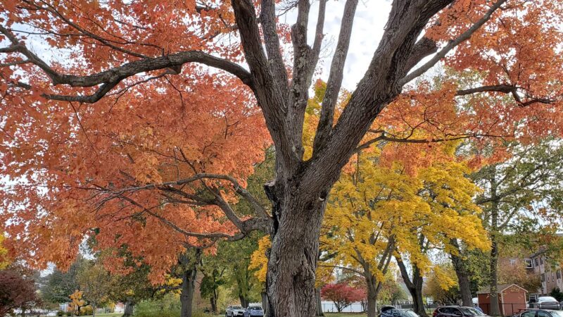 Swasey Parkway - Exeter, NH