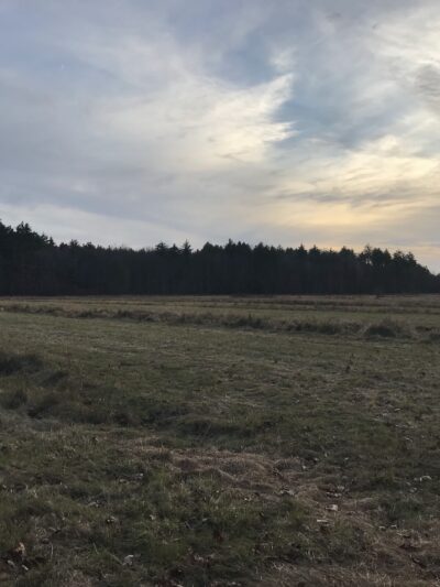 Conner Farm - Exeter, NH