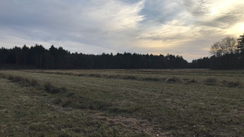 Conner Farm - Exeter, NH