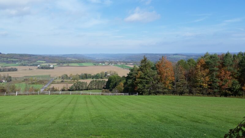 Highland Forest Skyline Lodge - Fabius, NY