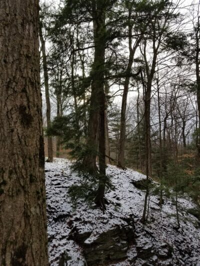Highland Forest Skyline Lodge - Fabius, NY