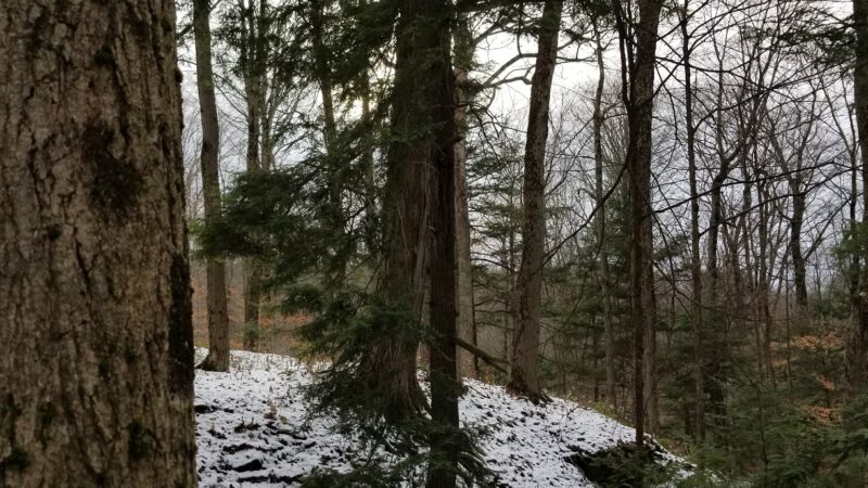 Highland Forest Skyline Lodge - Fabius, NY