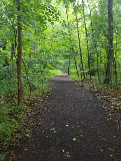 Fair Haven Fields Natural Area - Fair Haven, NJ