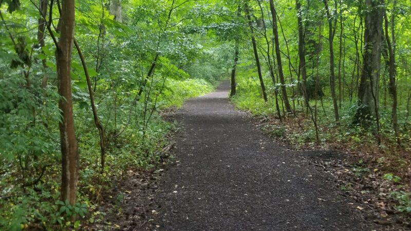 Fair Haven Fields Natural Area - Fair Haven, NJ