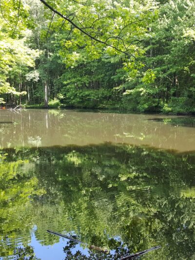 Fair Haven Fields Natural Area - Fair Haven, NJ