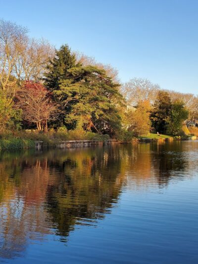 McCarter Pond - Fair Haven, NJ