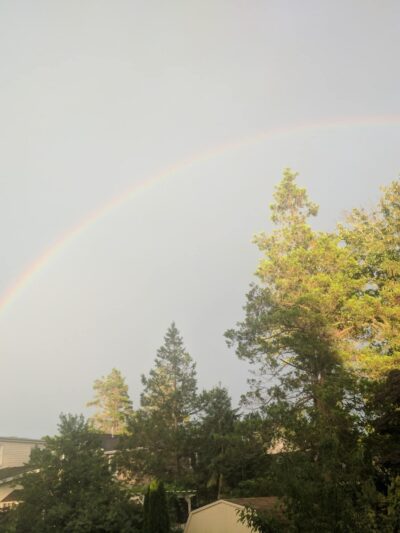 McCarter Pond - Fair Haven, NJ