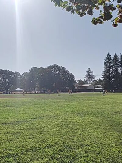 Phoenix Large Dog Park - Fair Oaks, CA