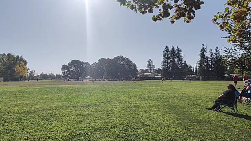 Phoenix Large Dog Park - Fair Oaks, CA