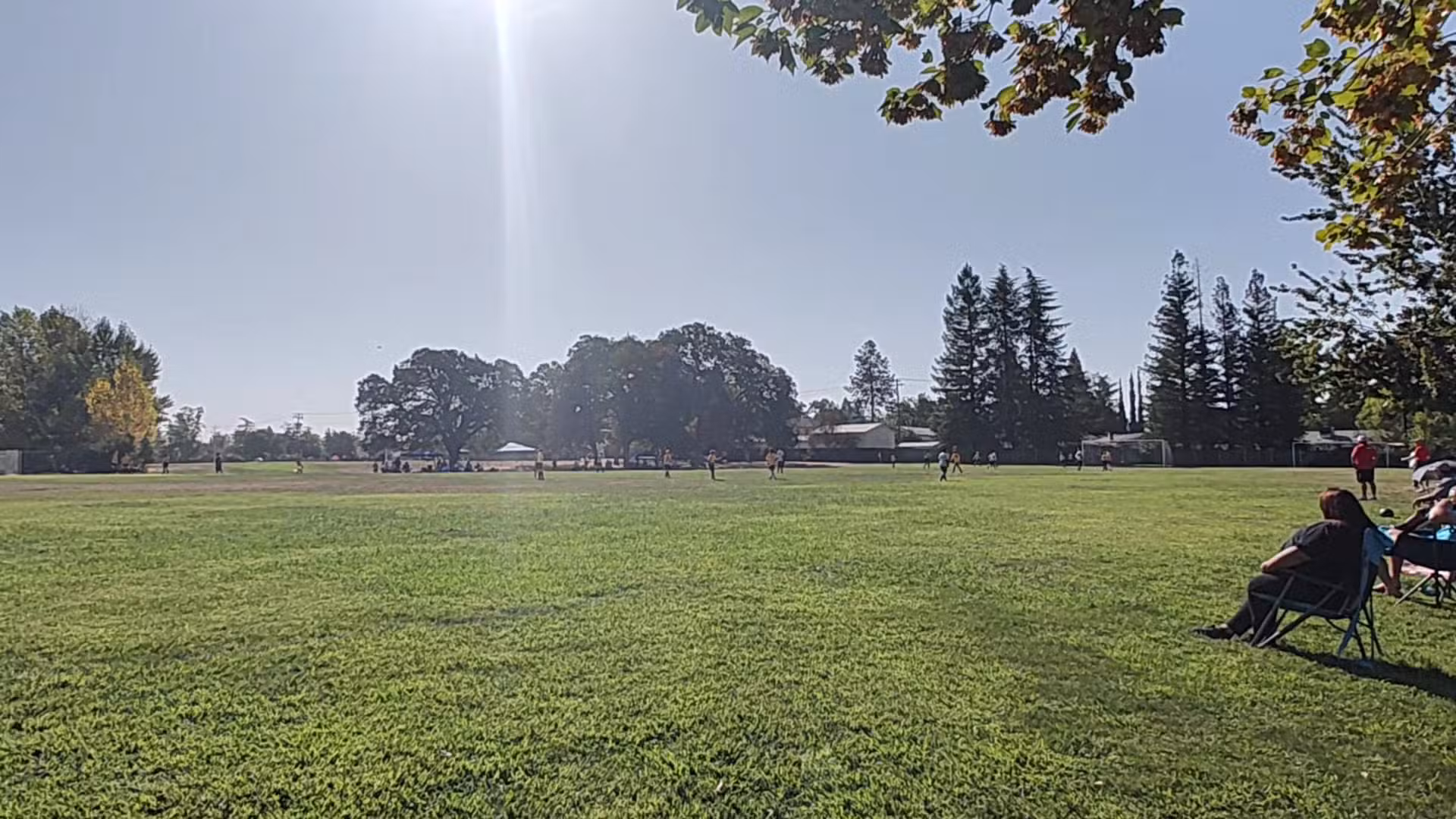 Phoenix Large Dog Park - Fair Oaks, CA
