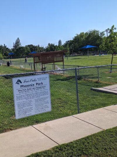 Phoenix Large Dog Park - Fair Oaks, CA