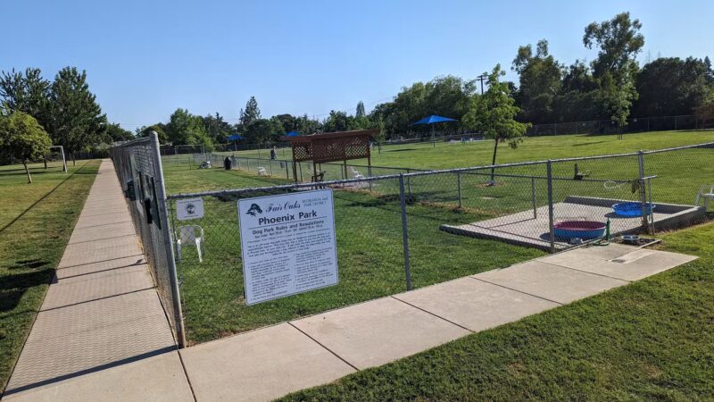 Phoenix Large Dog Park - Fair Oaks, CA