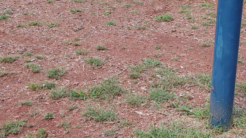 Fair Oaks Park - Fair Oaks, IN