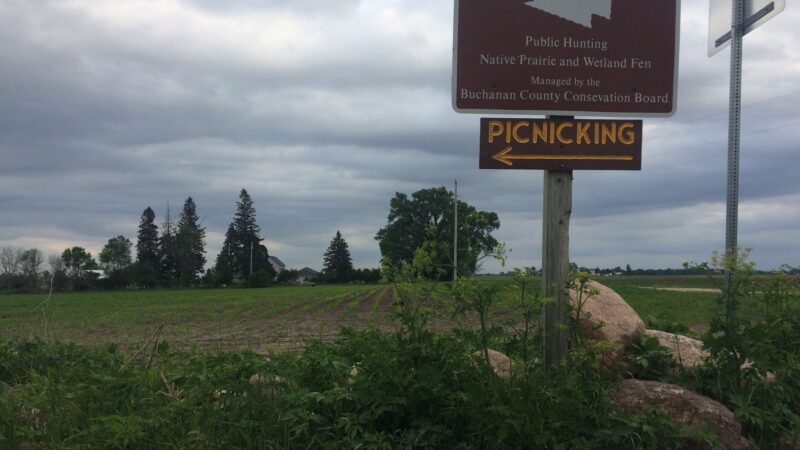 Fairbank Fen - Fairbank, IA