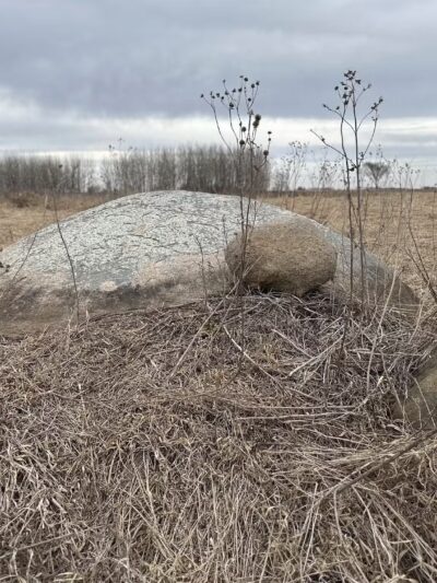 Fairbank Fen - Fairbank, IA