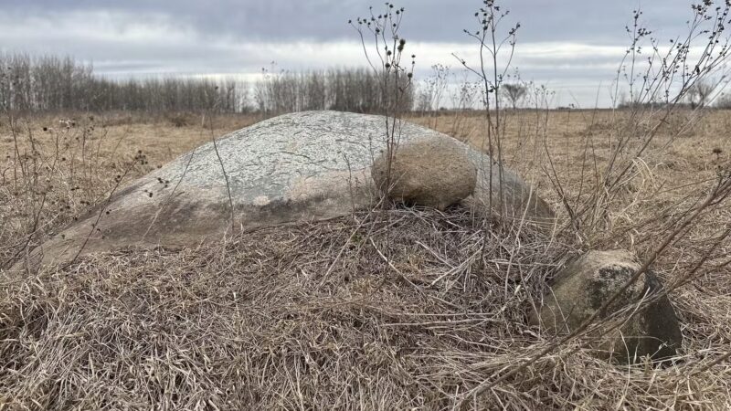 Fairbank Fen - Fairbank, IA