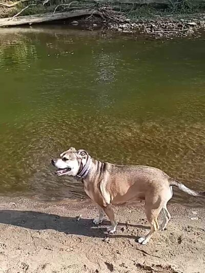 Siggelkow Park - Fairbank, IA