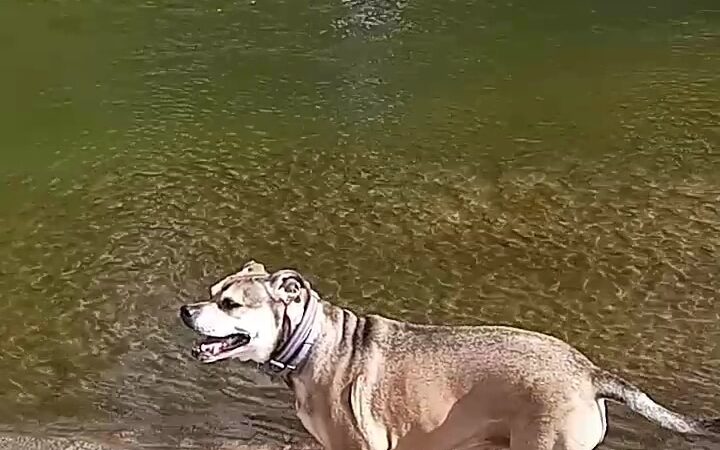 Siggelkow Park - Fairbank, IA