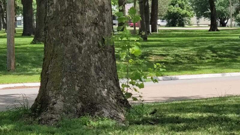 Fairbury City Park - Fairbury, NE