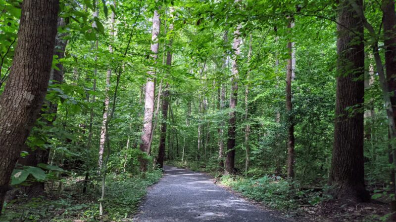 Burke Lake Park - Fairfax Station, VA