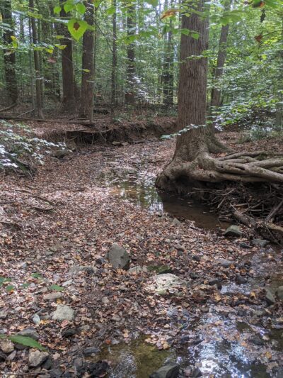 Fairfax Villa Park - Fairfax, VA