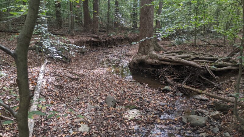 Fairfax Villa Park - Fairfax, VA