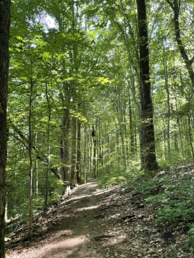 Fairfax Villa Park - Fairfax, VA