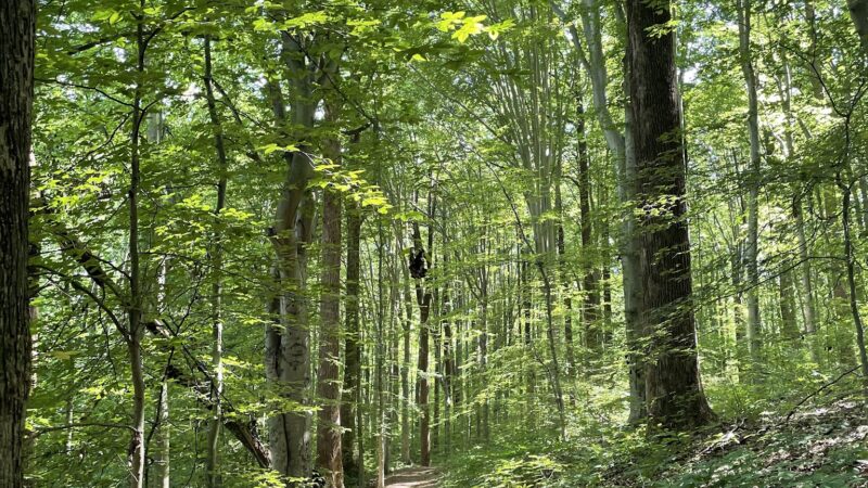 Fairfax Villa Park - Fairfax, VA