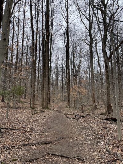 Fairfax Villa Park - Fairfax, VA