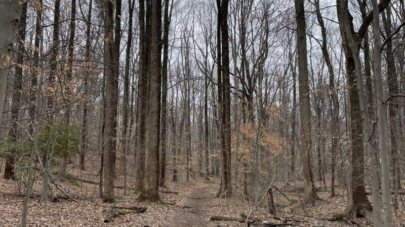 Fairfax Villa Park - Fairfax, VA