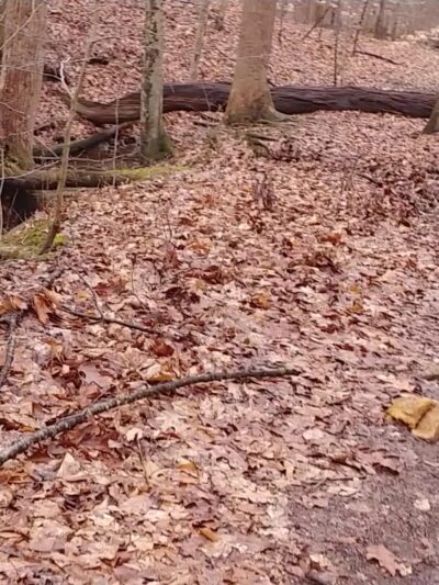 Fairfax Villa Park - Fairfax, VA