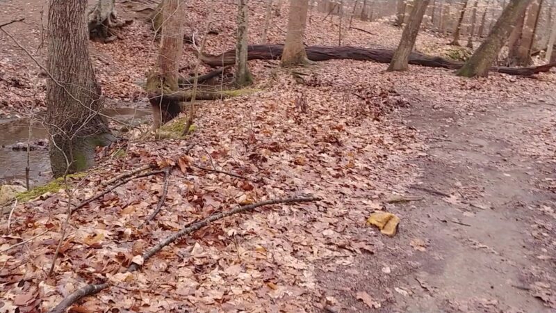 Fairfax Villa Park - Fairfax, VA