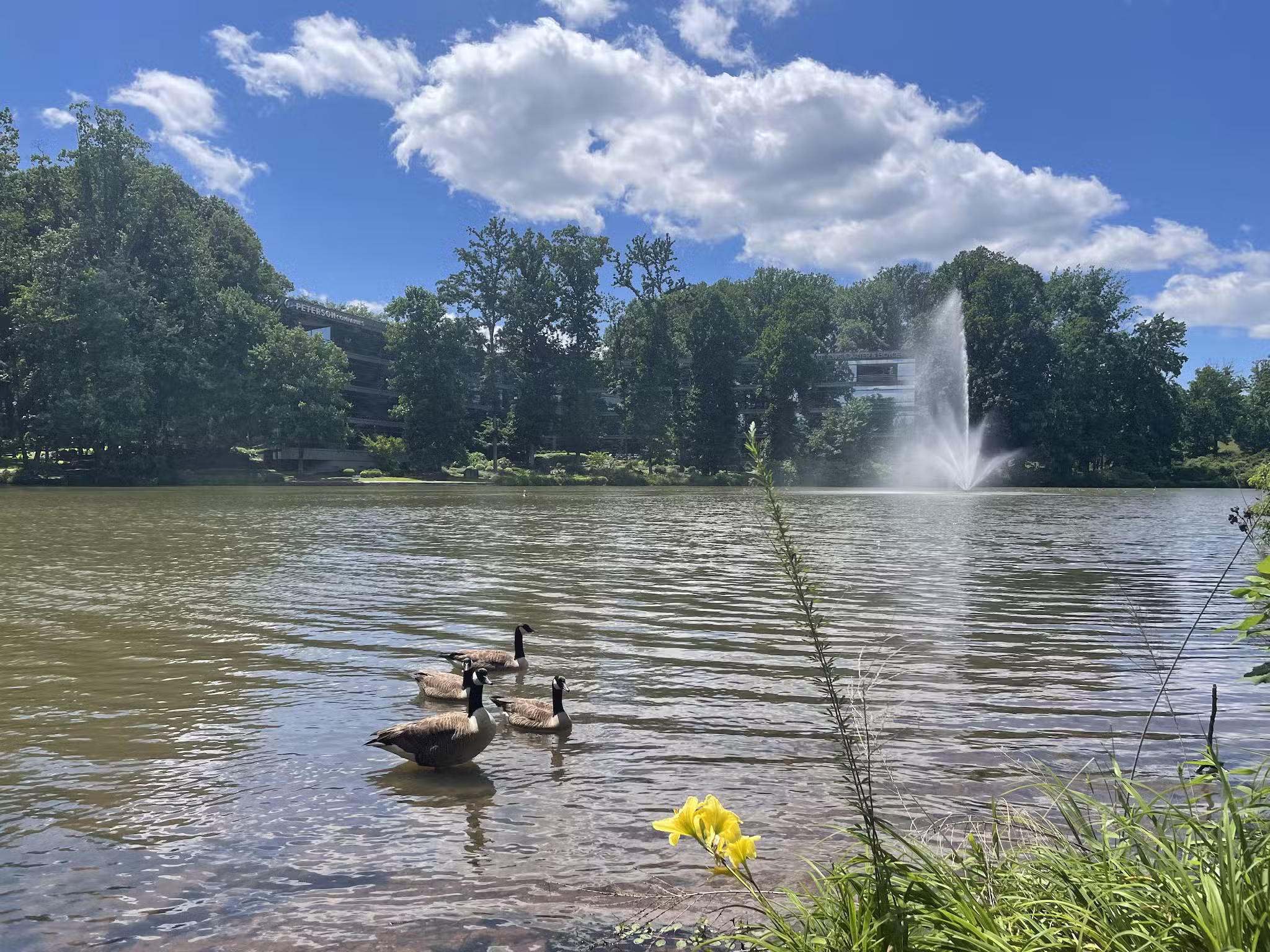 Fairlakes Private Lake - Fairfax, VA