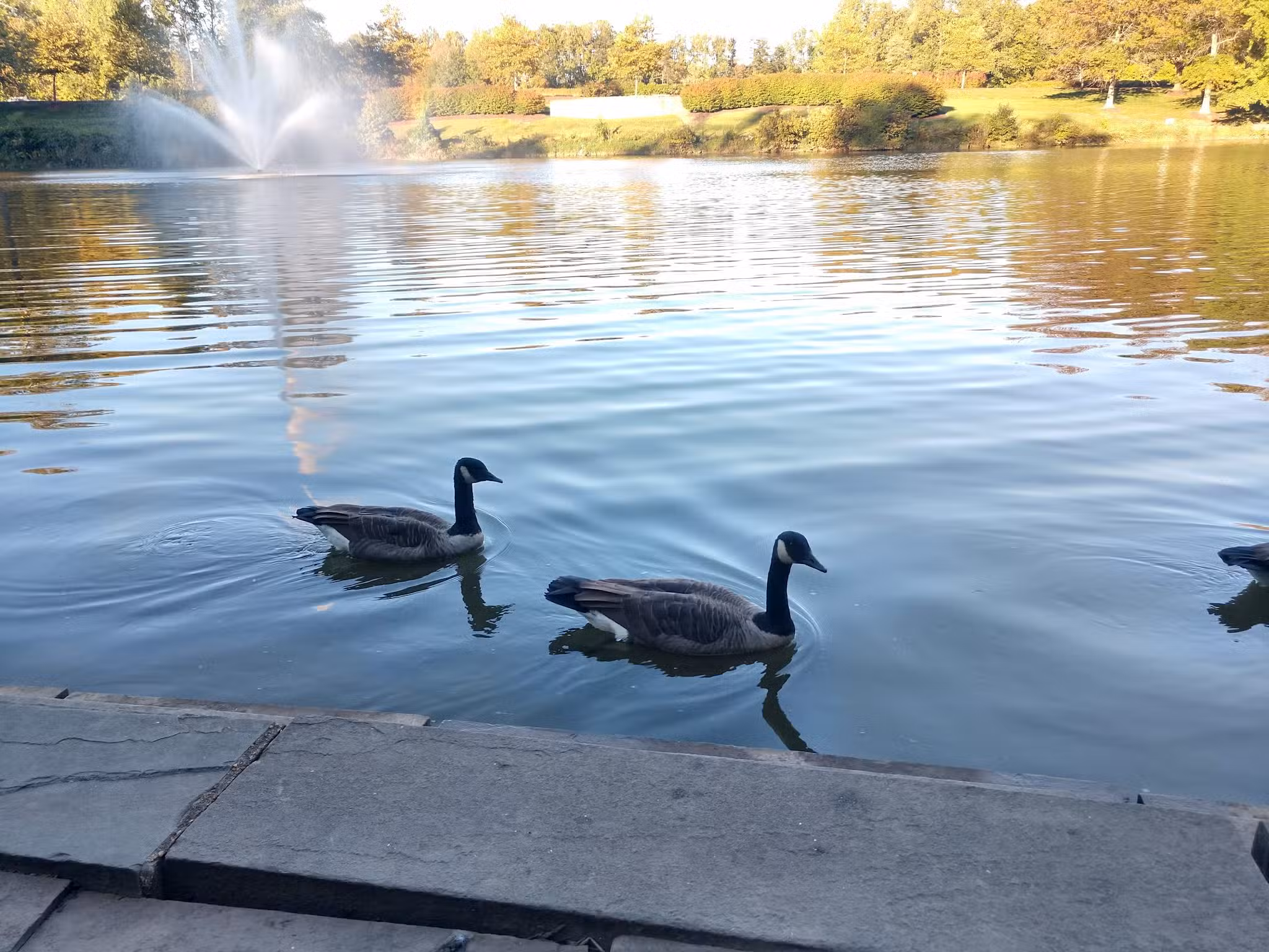 Fairlakes Private Lake - Fairfax, VA