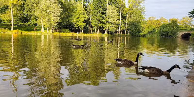 Fairlakes Private Lake - Fairfax, VA