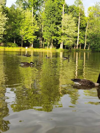 Fairlakes Private Lake - Fairfax, VA