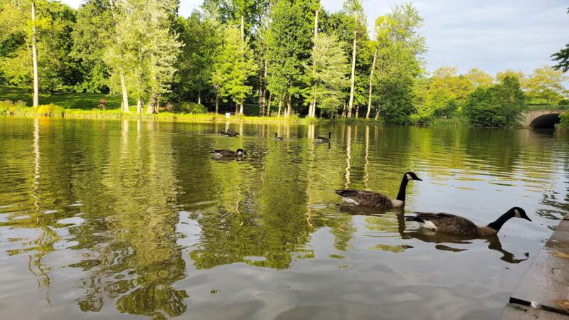 Fairlakes Private Lake - Fairfax, VA