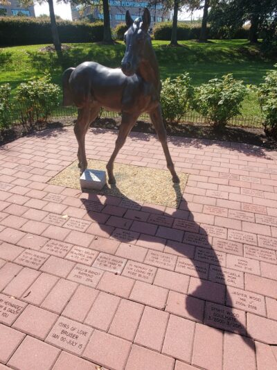 Pender Pet Caring Memorial Park - Fairfax, VA