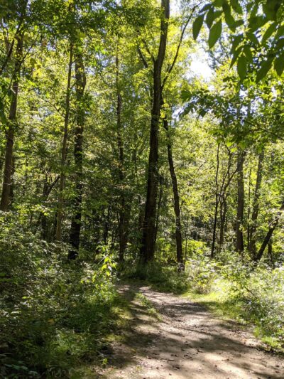 Rutherford Park - Fairfax, VA