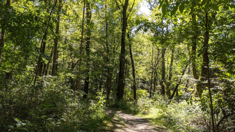 Rutherford Park - Fairfax, VA