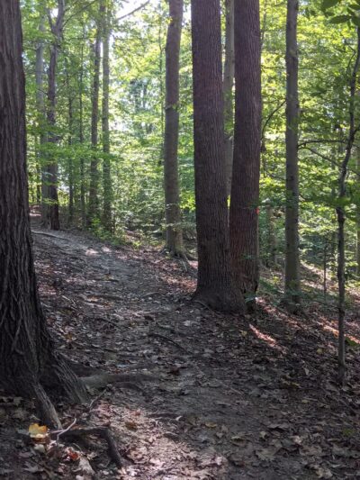 Stafford Drive Park - Fairfax, VA