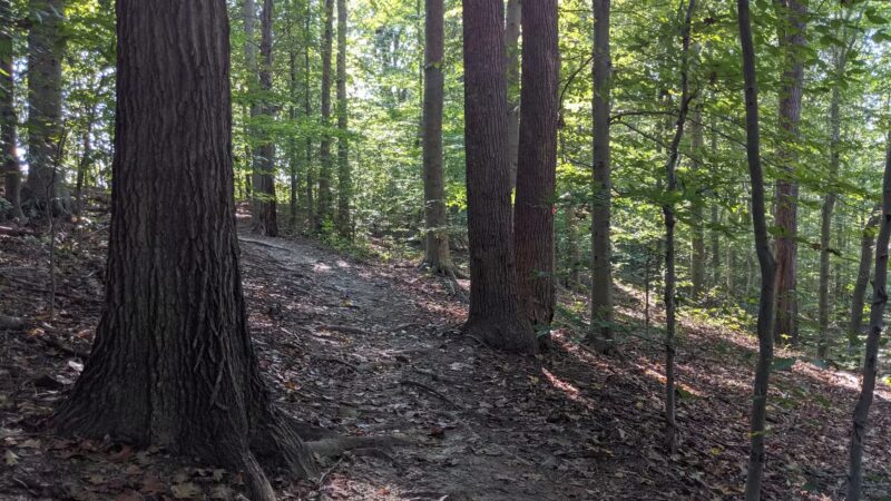 Stafford Drive Park - Fairfax, VA