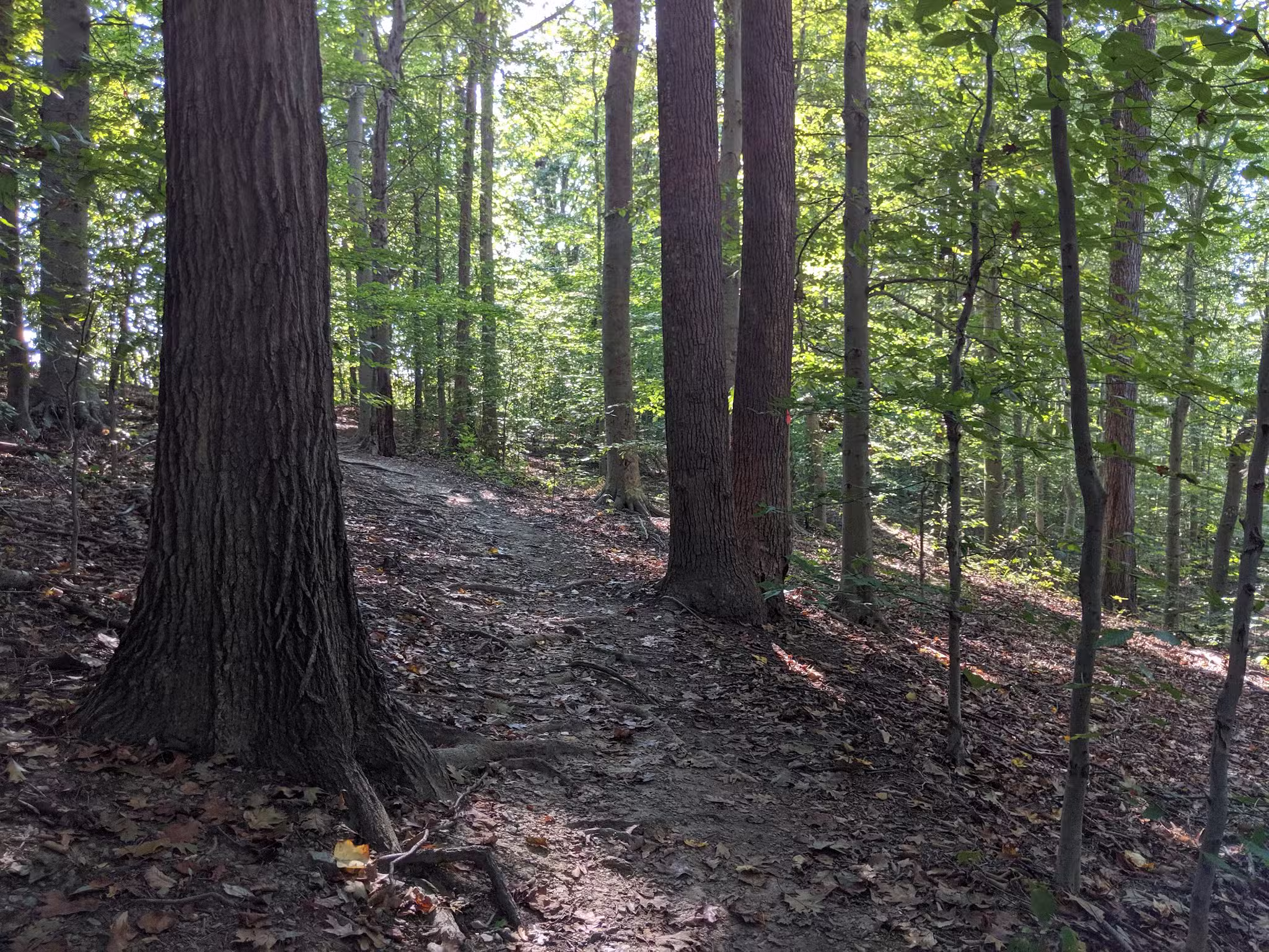 Stafford Drive Park - Fairfax, VA