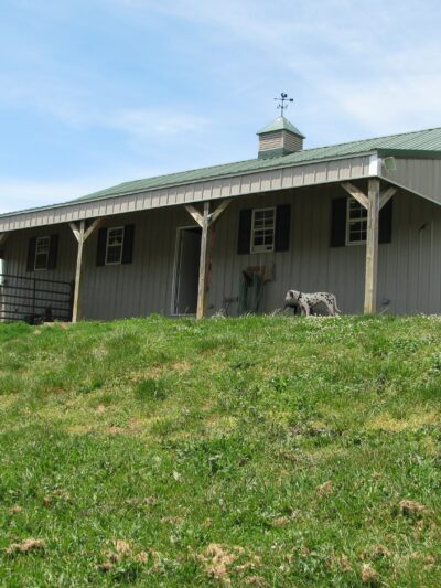 Wellspring Farm LTD - Fairfield, VA