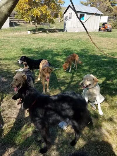 Wellspring Farm LTD - Fairfield, VA