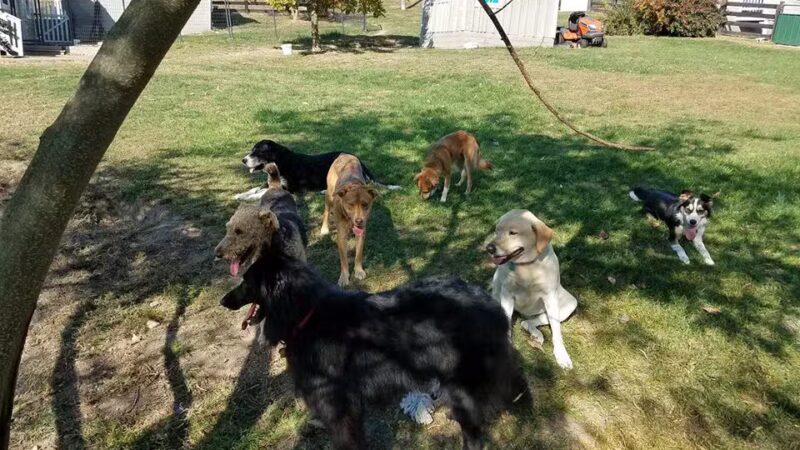 Wellspring Farm LTD - Fairfield, VA